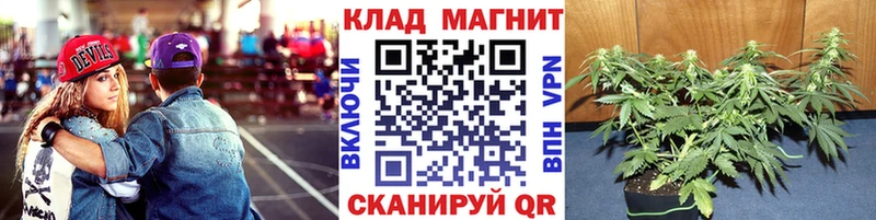  КОКАИН Кольчугино