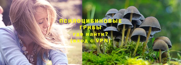 мескалин Осинники