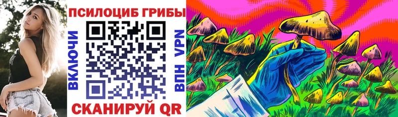 Галлюциногенные грибы GOLDEN TEACHER Кольчугино