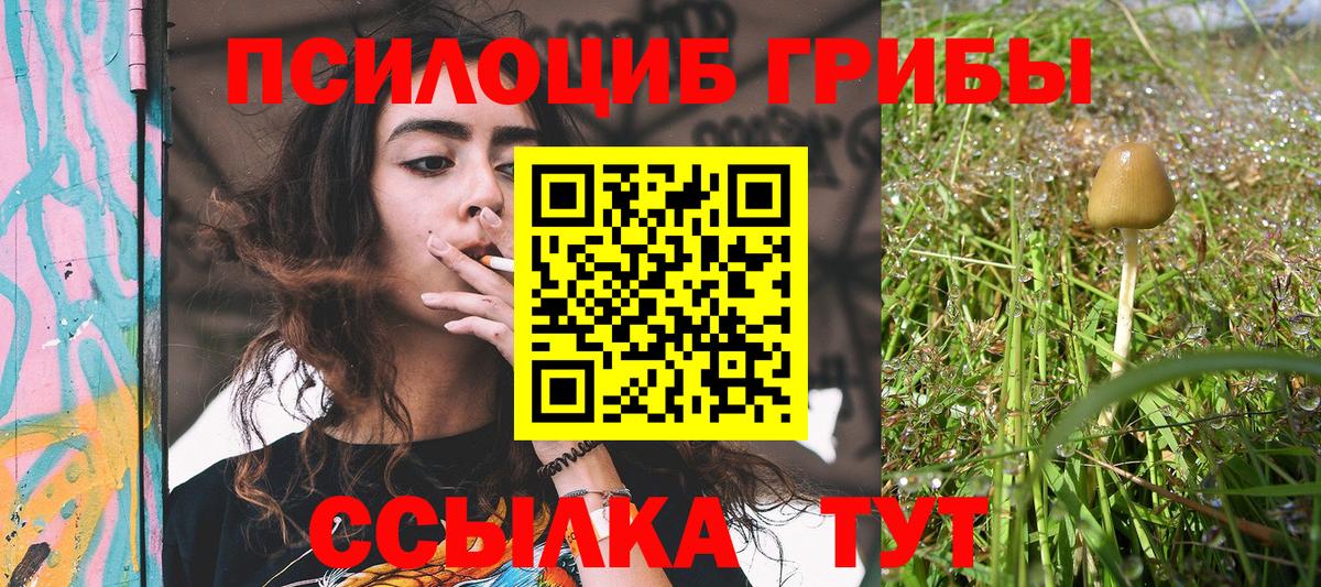 Кольчугино  Галлюциногенные грибы Psilocybine cubensis  Галлюциногенные грибы Magic Shrooms  Вход с VPN 